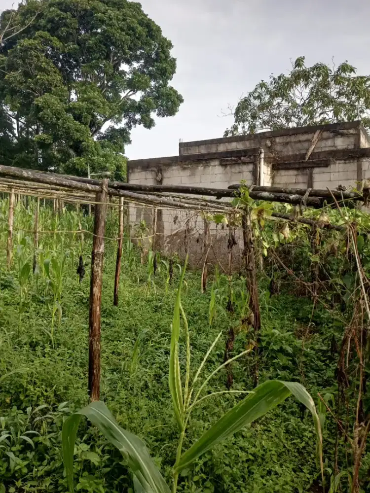 Di jual cepat,sudah ada bangunan