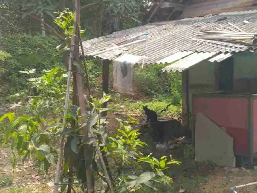 Dijual tanah kosong mepet dgn green lake city cipondoh
