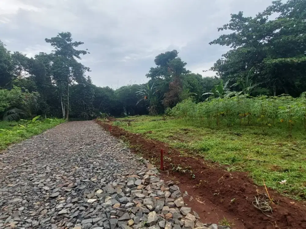 Dekat Exit Tol Burangkeng, Tanah Kavling Hunian &Invest Bekasi