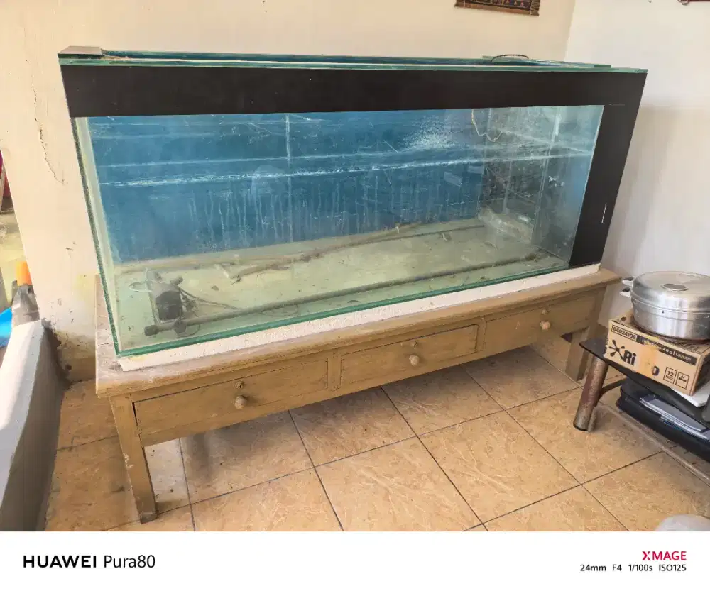 Aquarium dan kaki