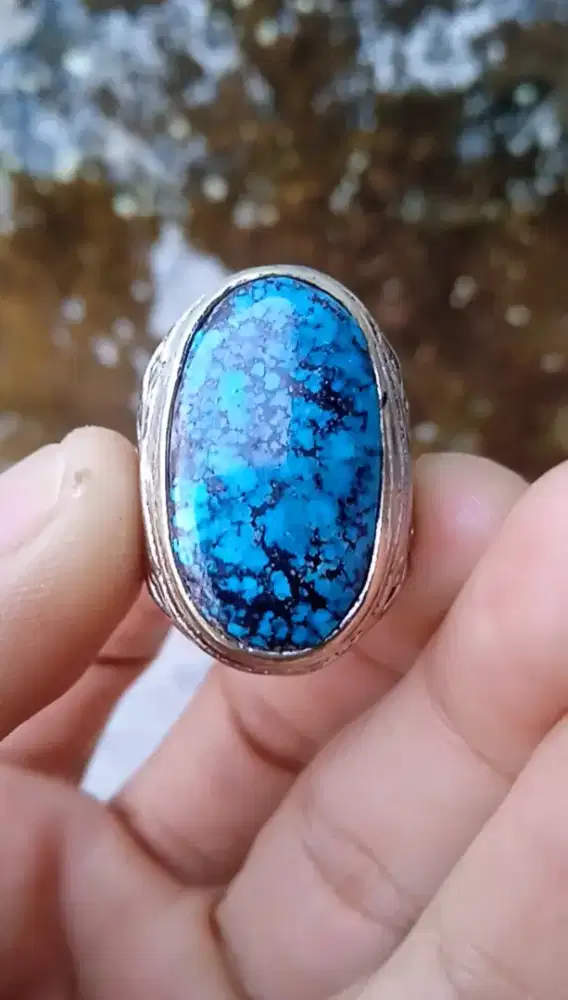 PIRUS PERSIA BIRU