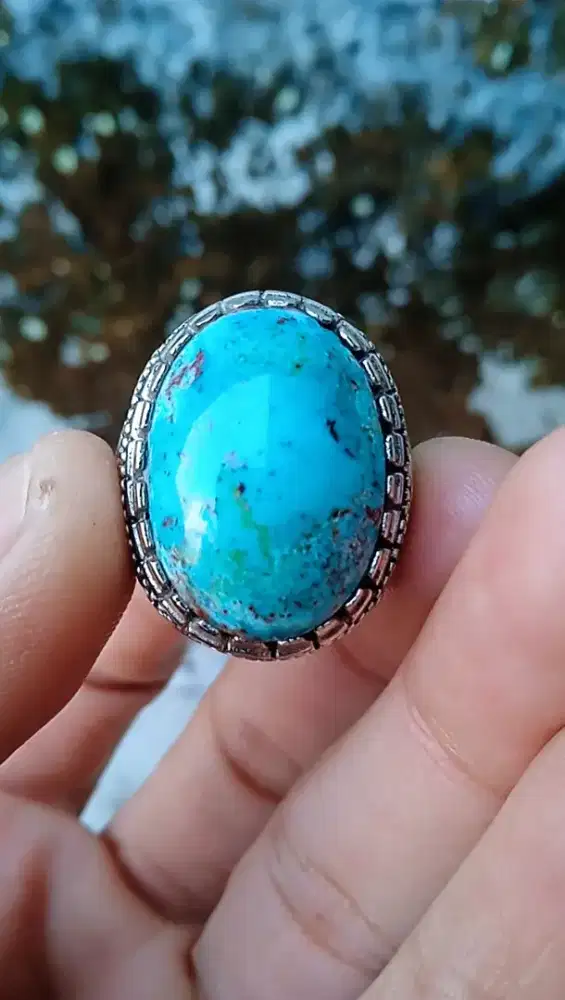 PIRUS PERSIA CEPLOK LAWAS