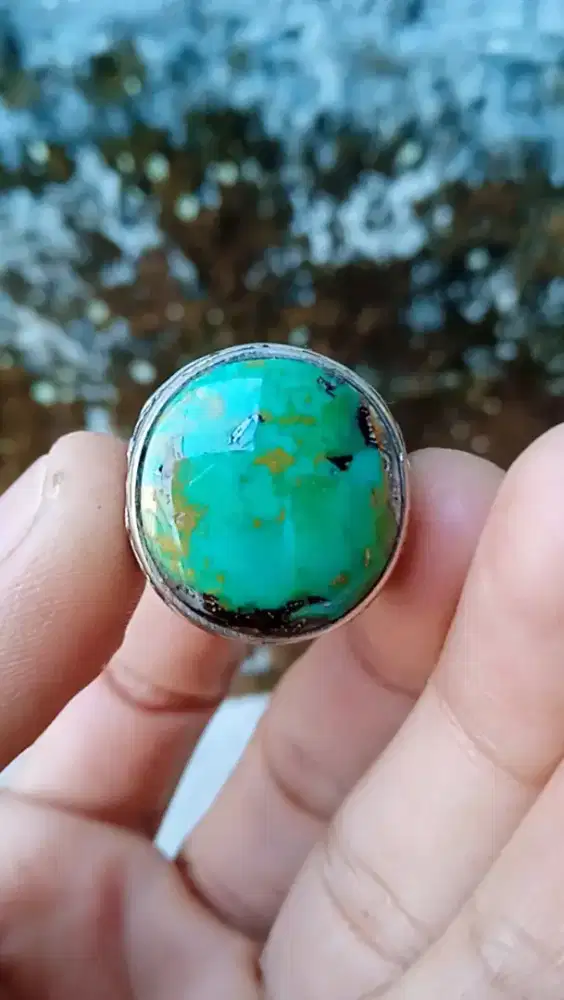 PIRUS PERSIA KINCLONG