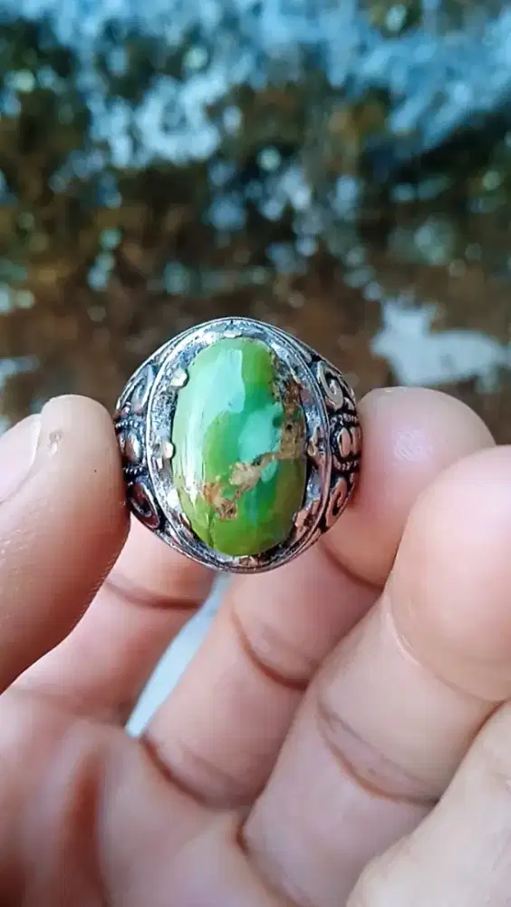 PIRUS NATURAL IJO KEDONDONG
