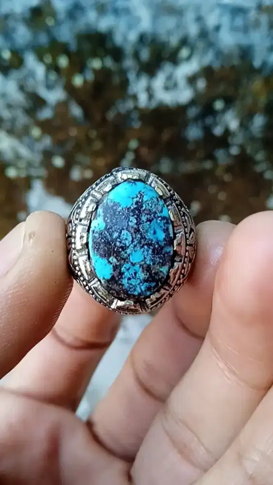 PIRUS PERSIA KLASIK