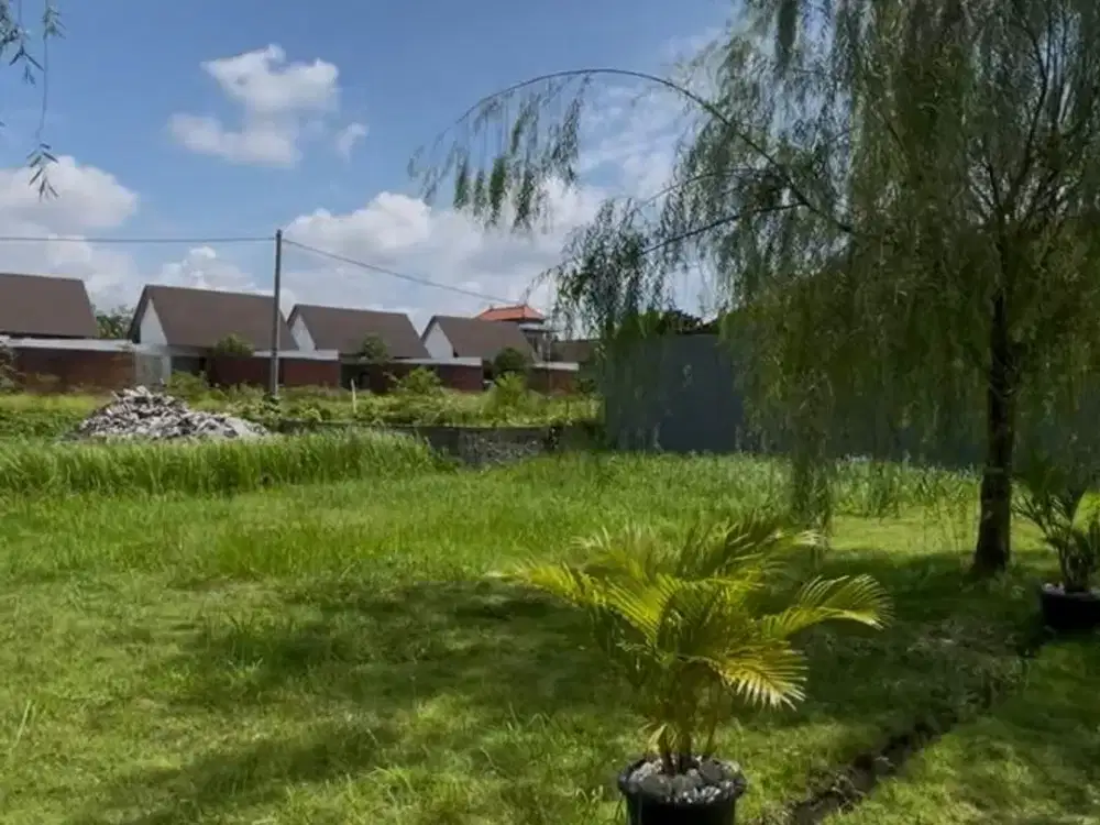 TANAH LANGKA KAVLING KECIL DI LODTUNDUH UBUD