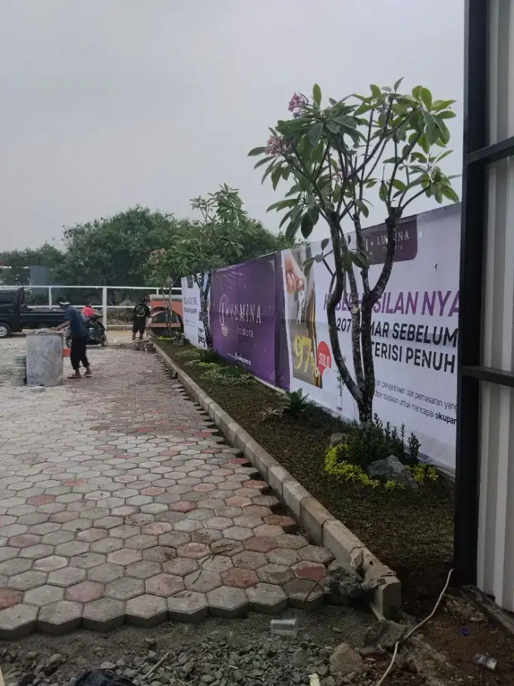 Pohon Kamboja fosil Kamboja bali dll