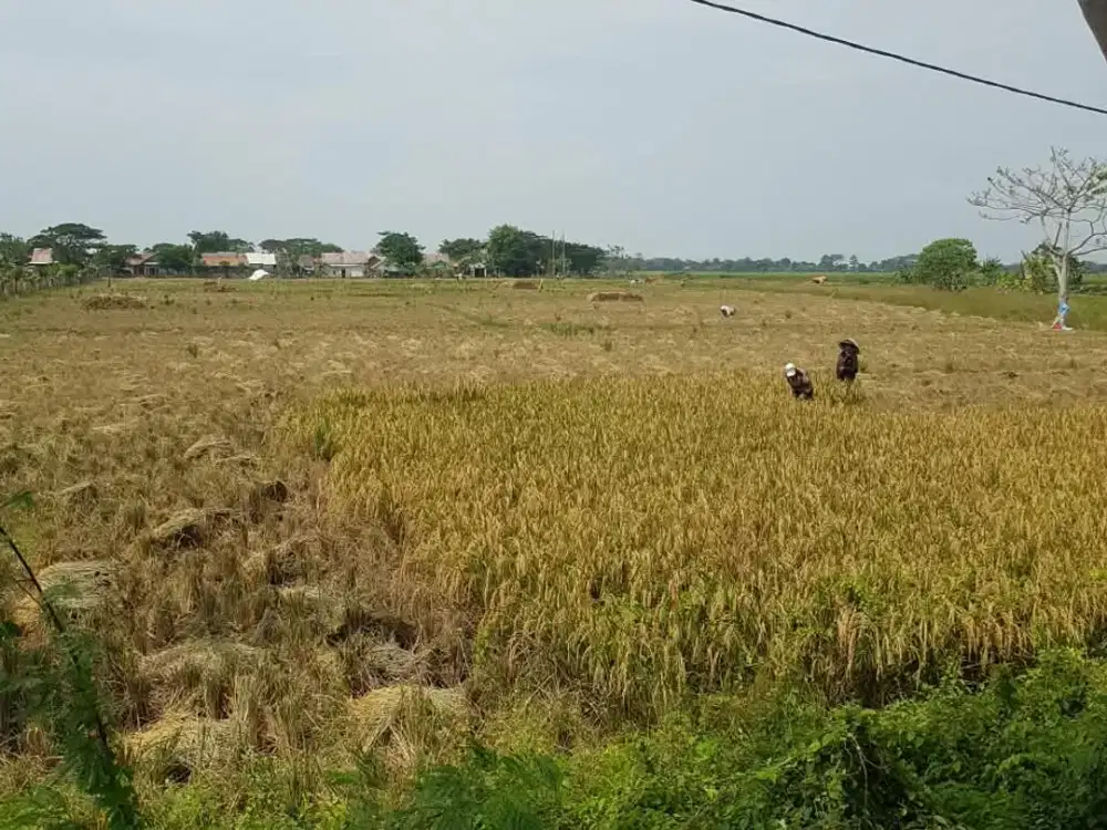 dijual Tanah daerah  Bekasi Tambun Utara, Bekasi