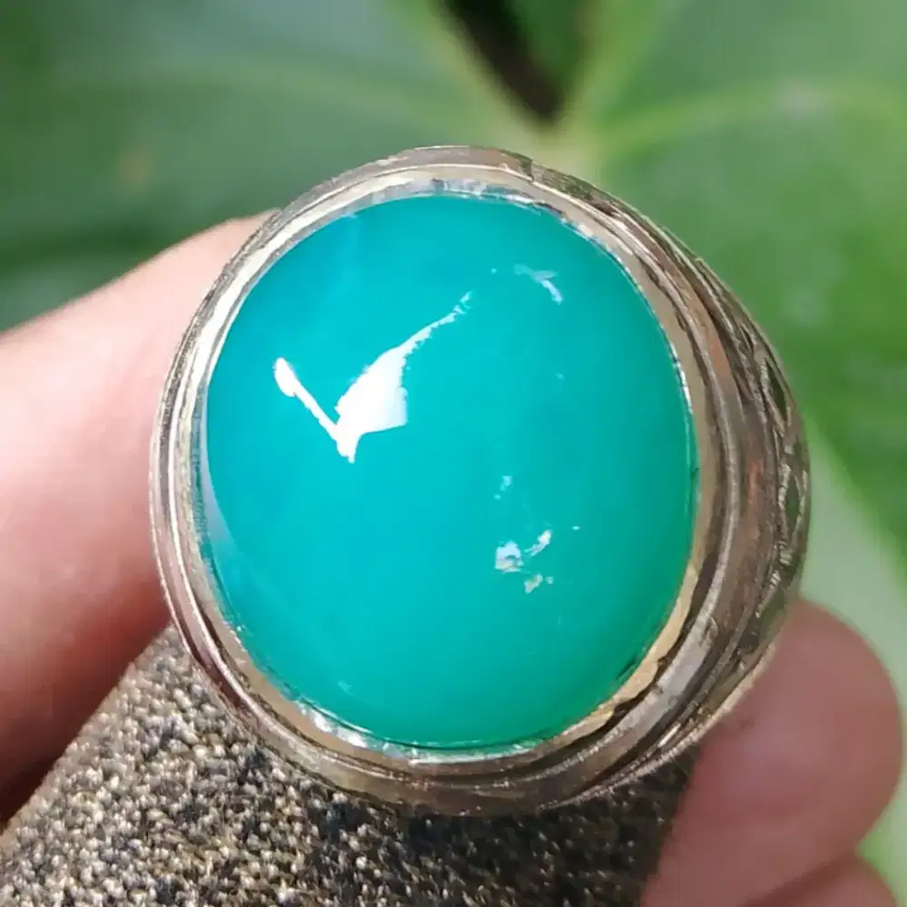Bacan Doko bluish green kantoran dim 16*16*9 ring alfaka Net Harga