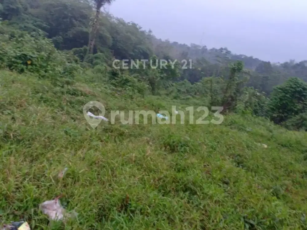 Tanah Gunung Geulis Cocok untuk Resort Dekat Hambalang Sentul