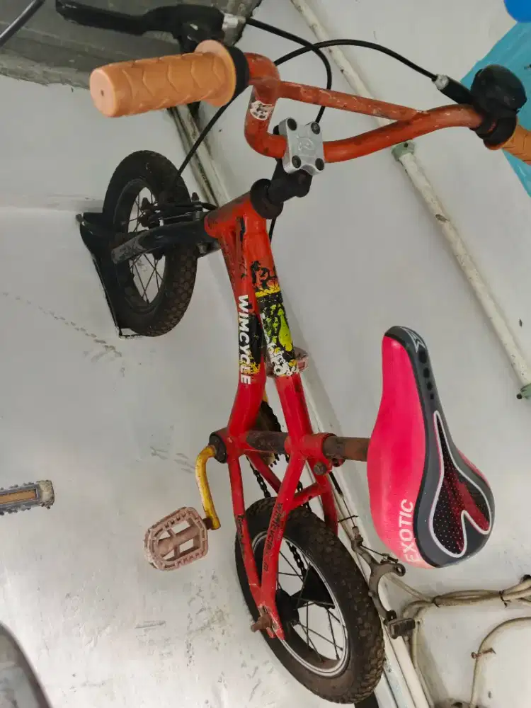Sepeda anak Wimcycle