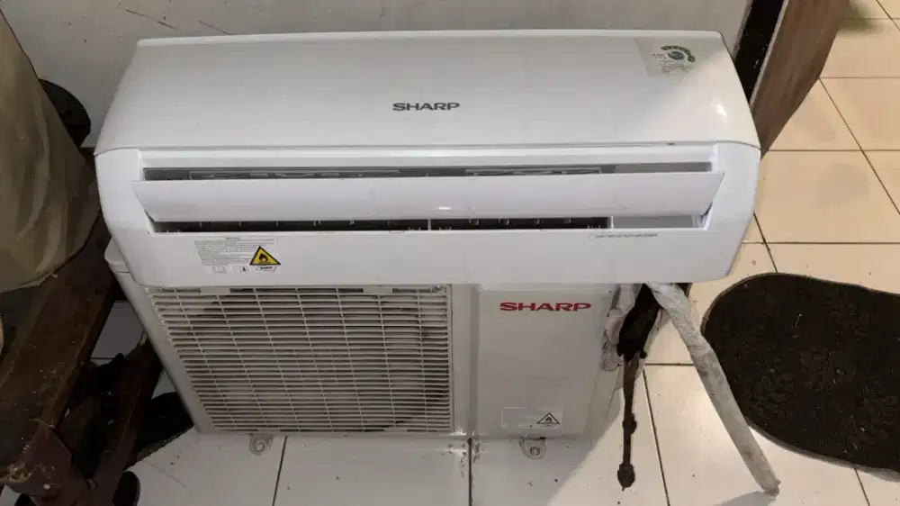 Ac sharp 1/2 PK