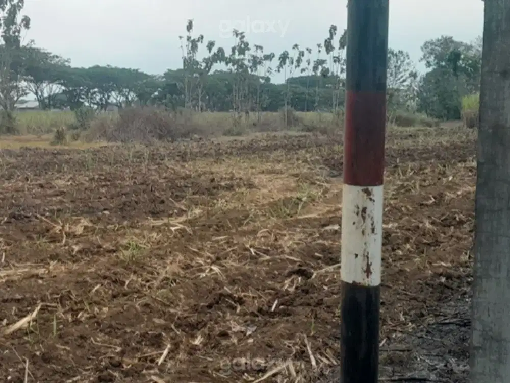 Tanah Kavling Strategis Dekat Bandara Abd Saleh Malang GMK04266