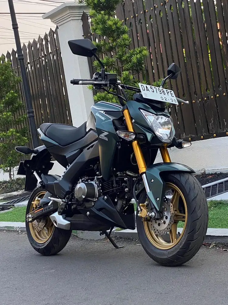 2024 Kawasaki Z1250 Pro SE Matte Army Green