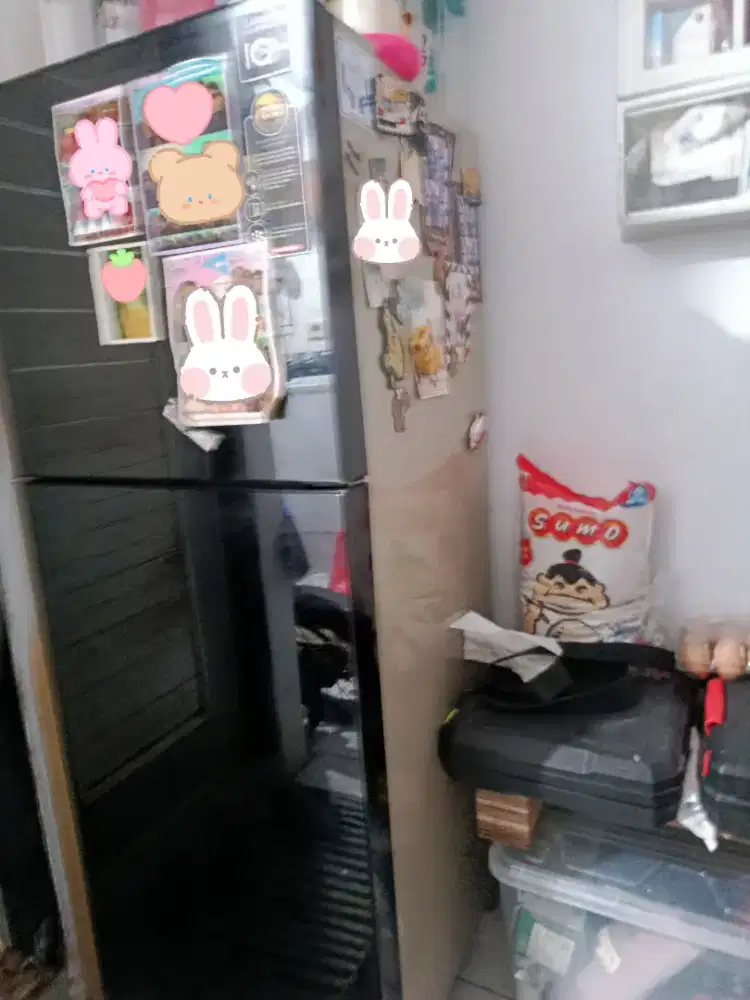 Kulkas Panasonic 2 Pintu Hitam