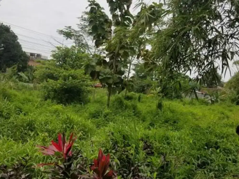DIJUAL TANAH – DESA LURAH, KECAMATAN PLUMBON, KABUPATEN CIREBON, JAWA BARAT