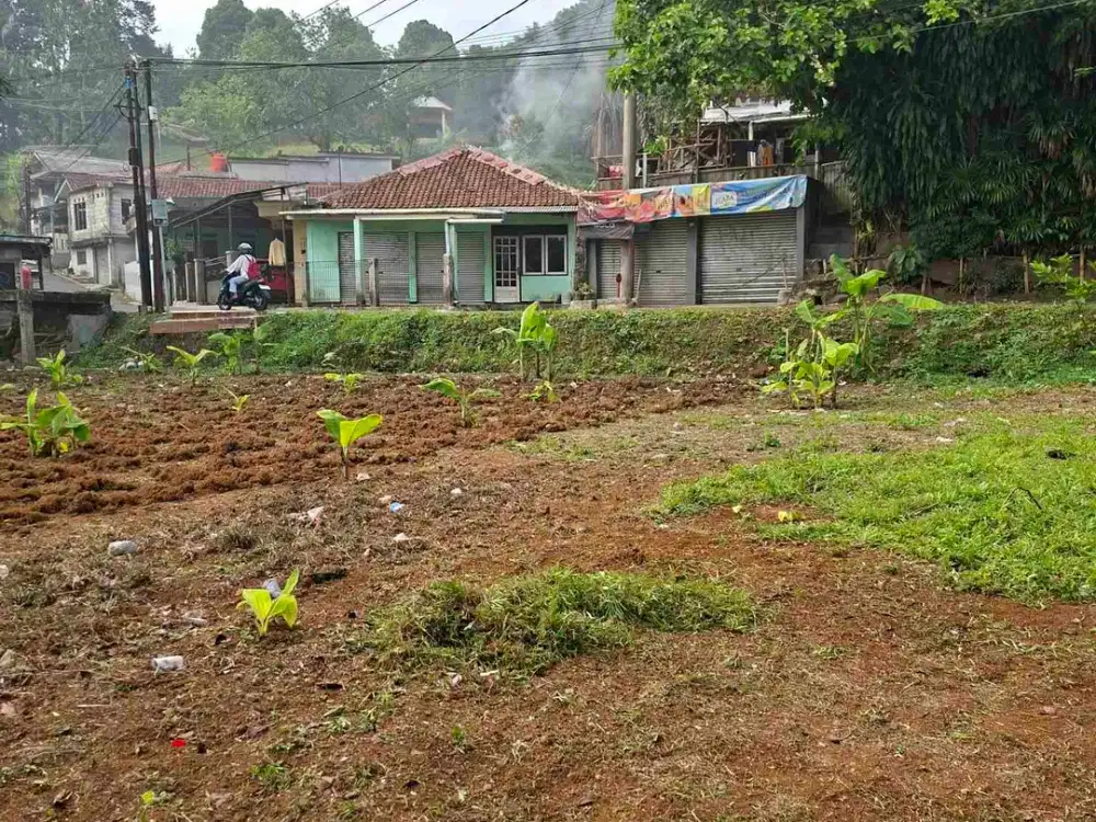 DI JUAL TANAH SANGAT COCOK UNTUK VILLA DAN INVESTASI MASA DEPAN.HANYA 700 METER DARI JLN RAYA PUNCAK GADOG