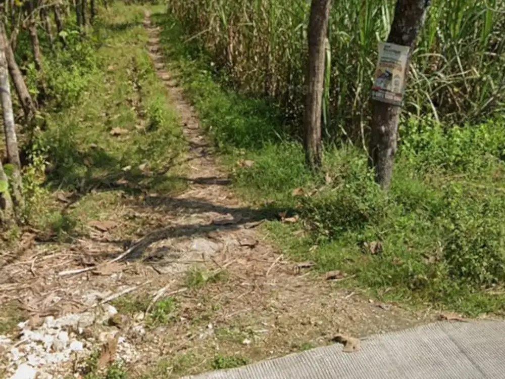 JUAL TANAH INDUSTRI KEMBANGBAHU LAMONGAN.