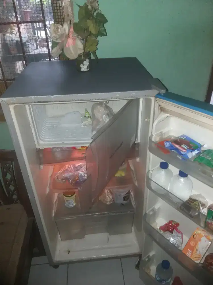 Kulkas 1 pintu 50 wat normal beku dngin lengkap frre lalamove dkt