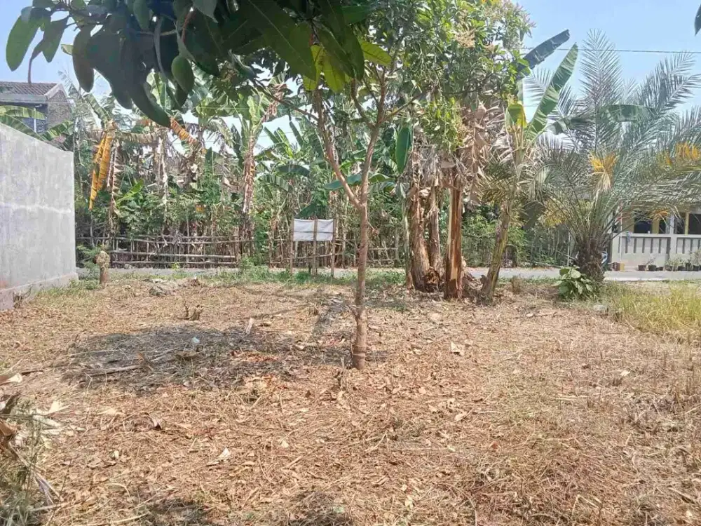 tanah murah dekat RS PKU Sapen mojolaban Karanganyar
