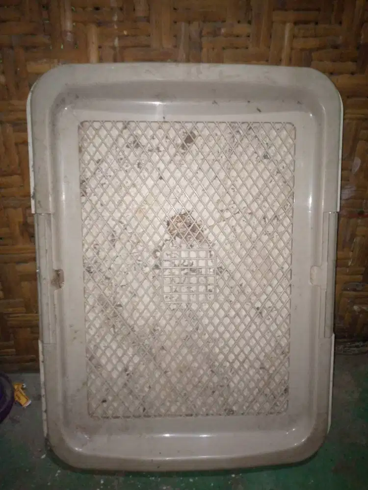 dijual toilet anjing ukuran 60 x 40