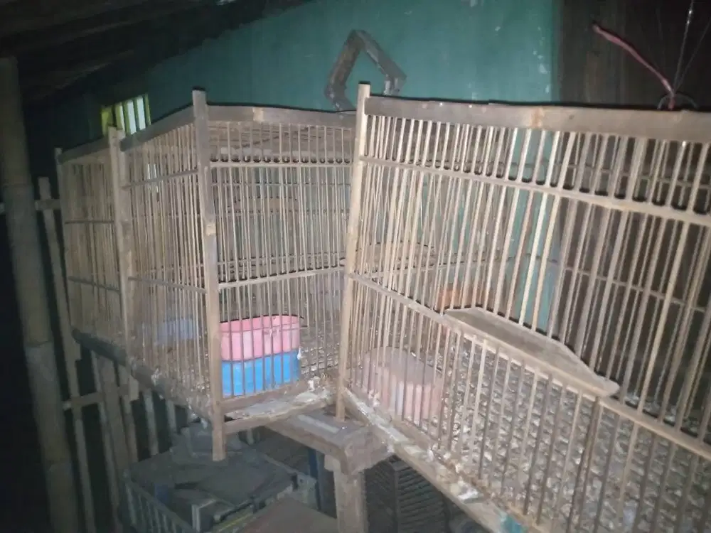 dijual 3 kandang ukuran +- 60 x 40