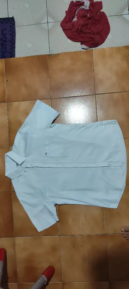 KEMEJA LACOSTE BLUE
