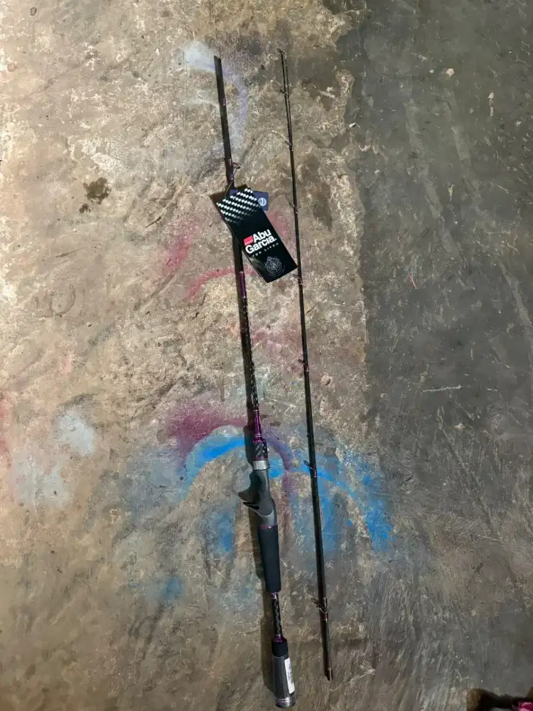 Joran bc abu garcia hornet baretta