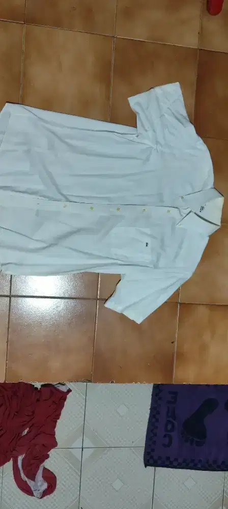 Kemeja Lacoste warna Putih(yellowing)