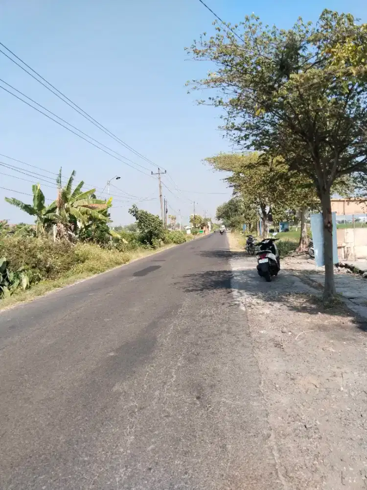 Jual tanah murah strategis pinggir jln raya MTS karangmojo
