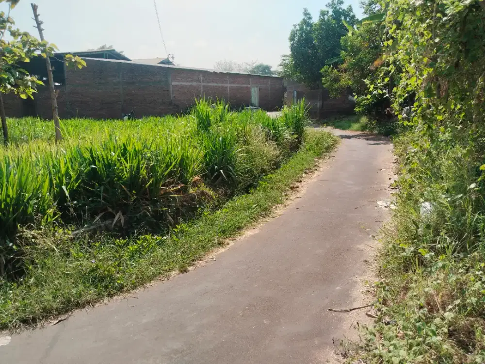 Jual tanah murah utara SMA kebakramat