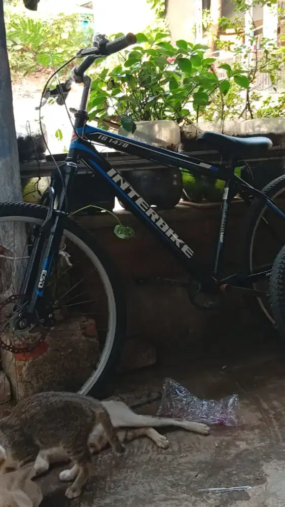 Sepeda Gunung (MTB)