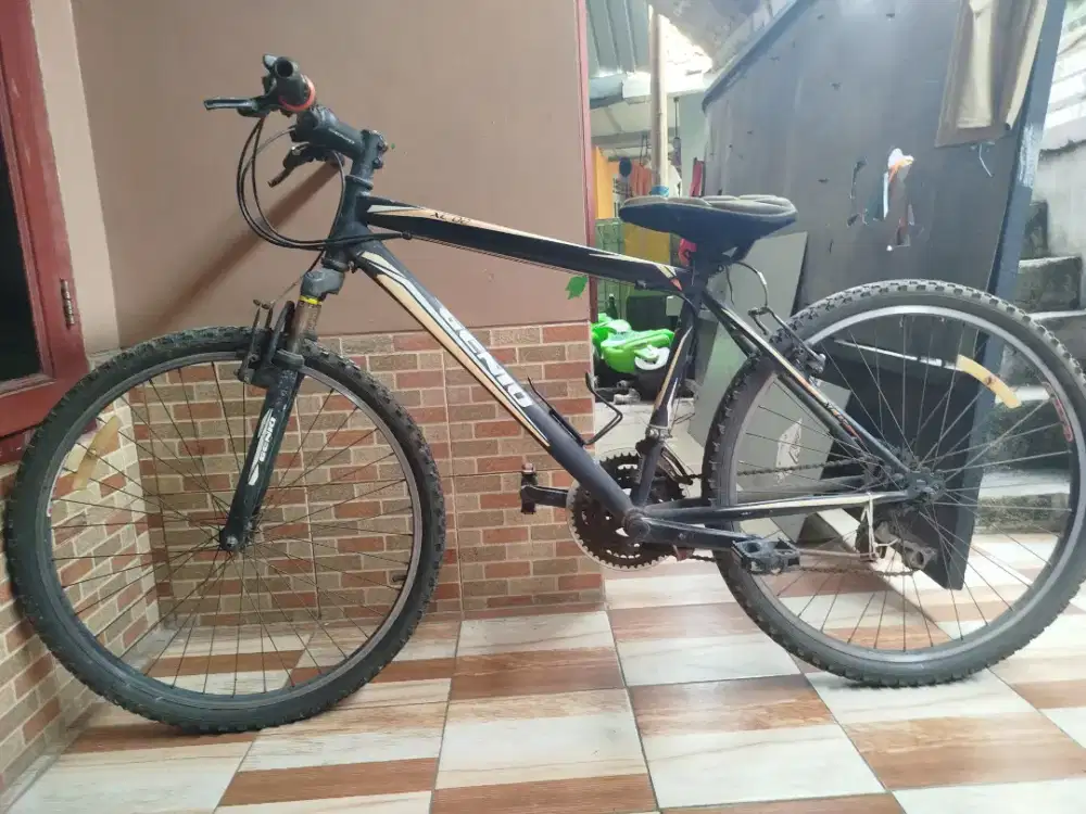 Sepeda bekas jual apa adanya
