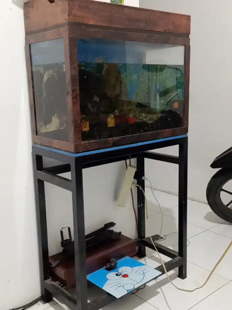aquascape 60x40x30