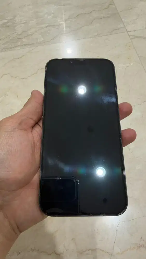 Iphone 13 Pro Max 256gb