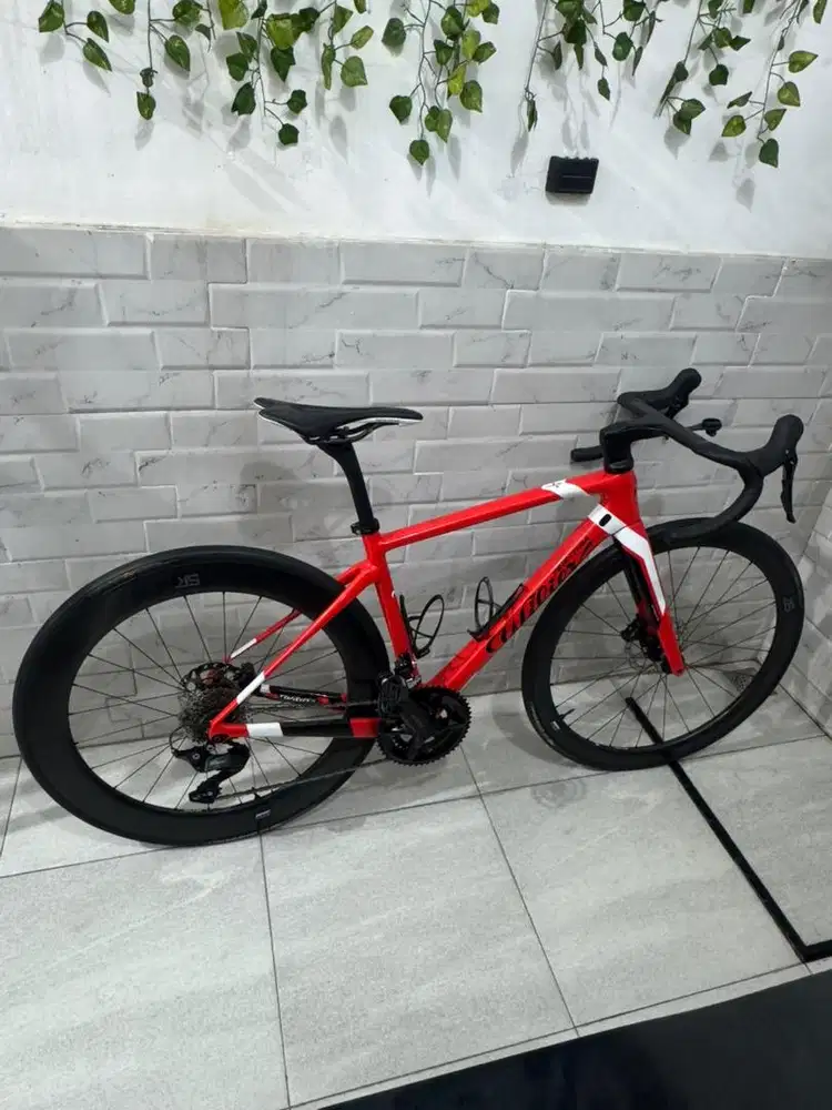 Wilier Gtr team Roadbike