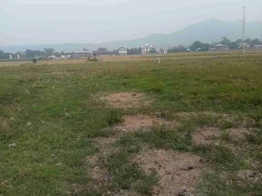 DIJUAL CEPAT TANAH SAWAH DAERAH KAKAS, HARGA SANGAT MURAH