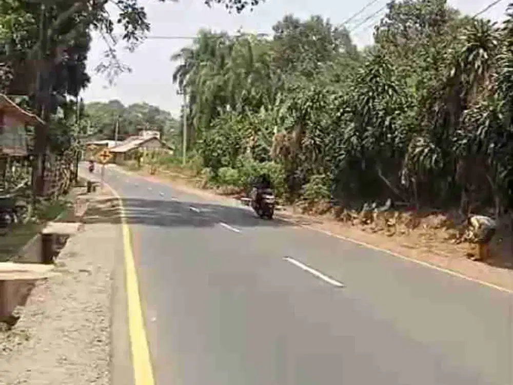 tanah darat kebun