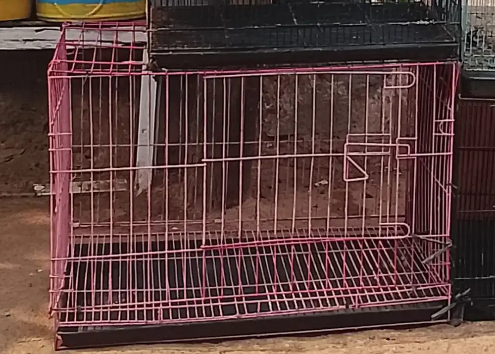 Kandang kucing jumbo