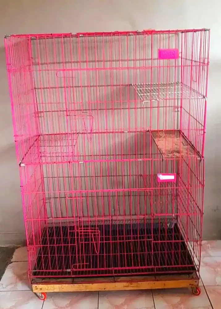 Kandang kucing jombo