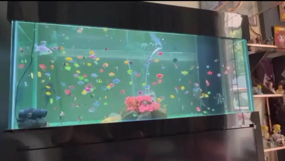 Aquarium + Kabinet Second Uk 150 x 55 x 50 cm