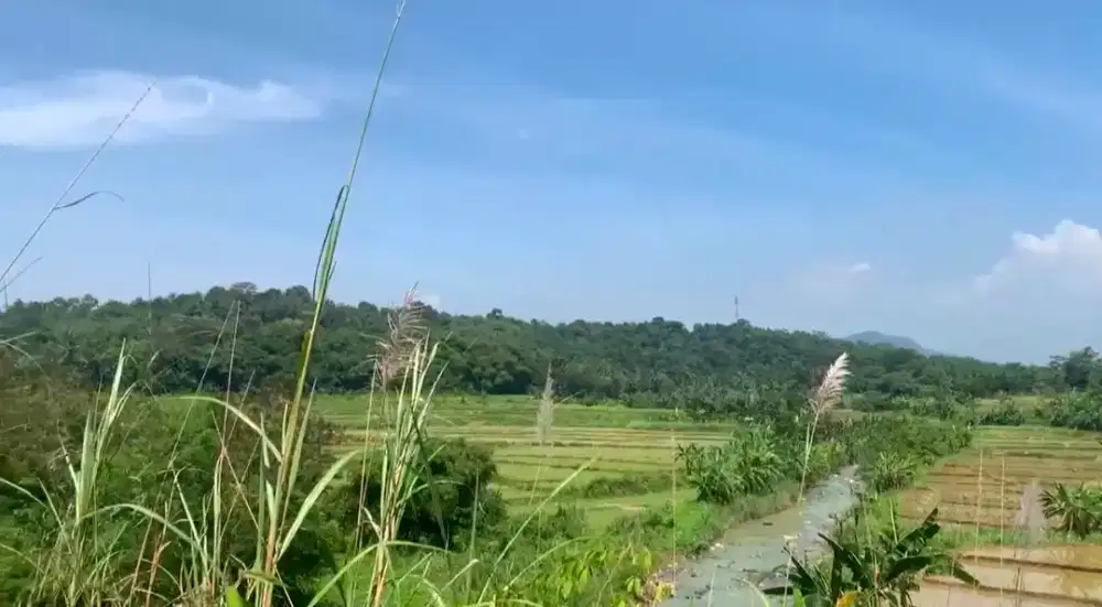 Tanah 9.3Ha Cocok untuk Perumahan, kebun, pesantren, pemakaman, dll