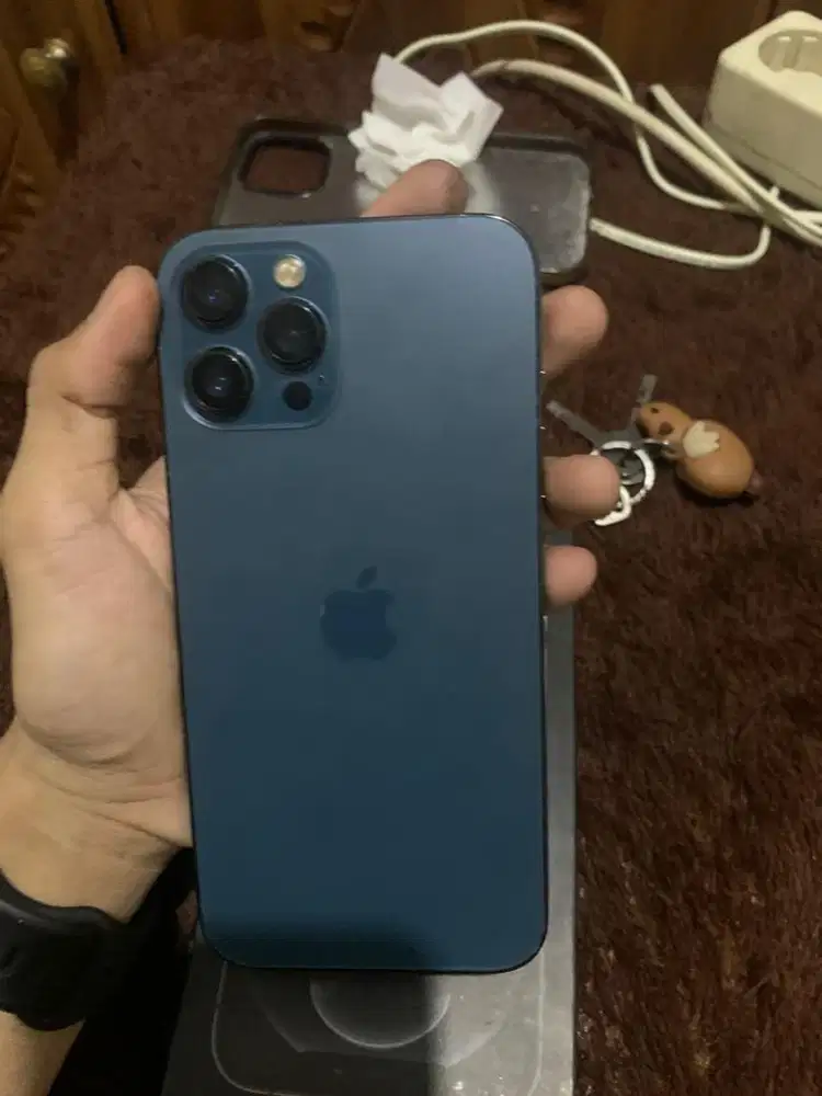 iphone 12 promax