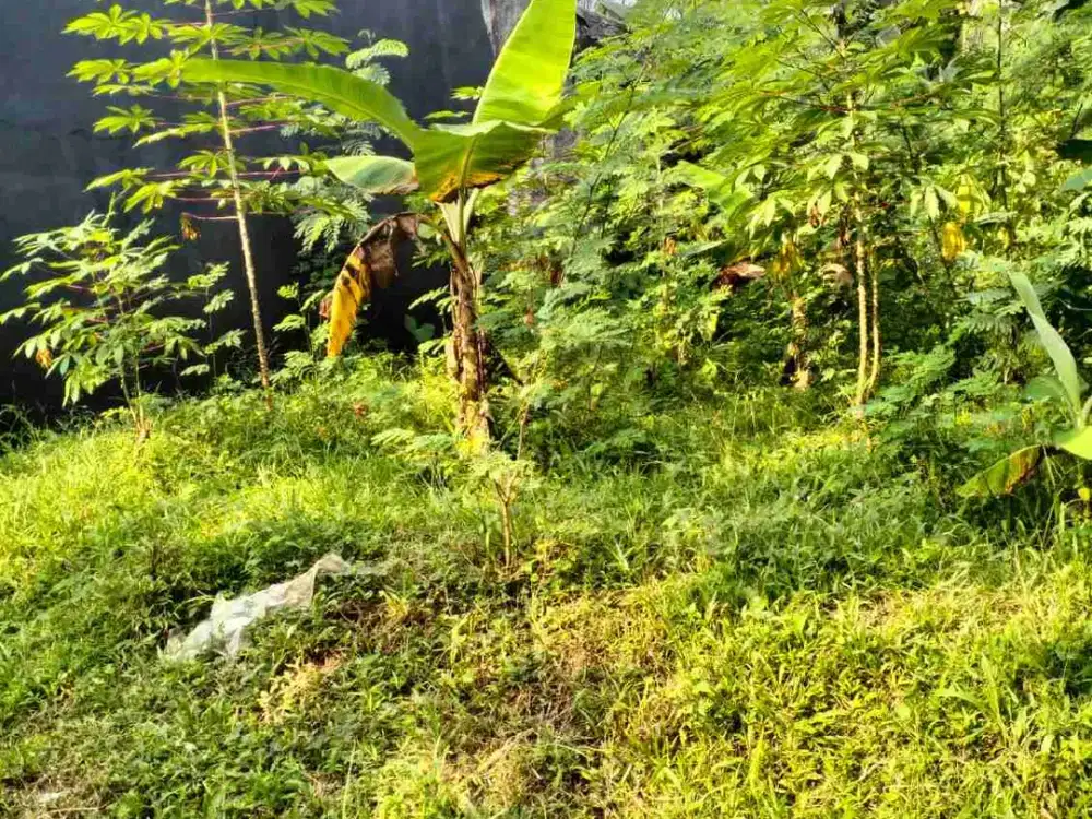 di jual tanah kavling