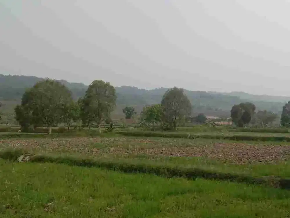 di jual tanah sawah aktif