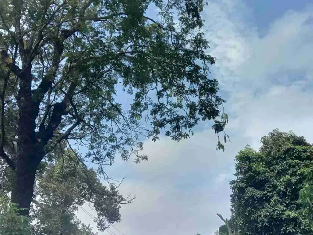 di jual tanah darat