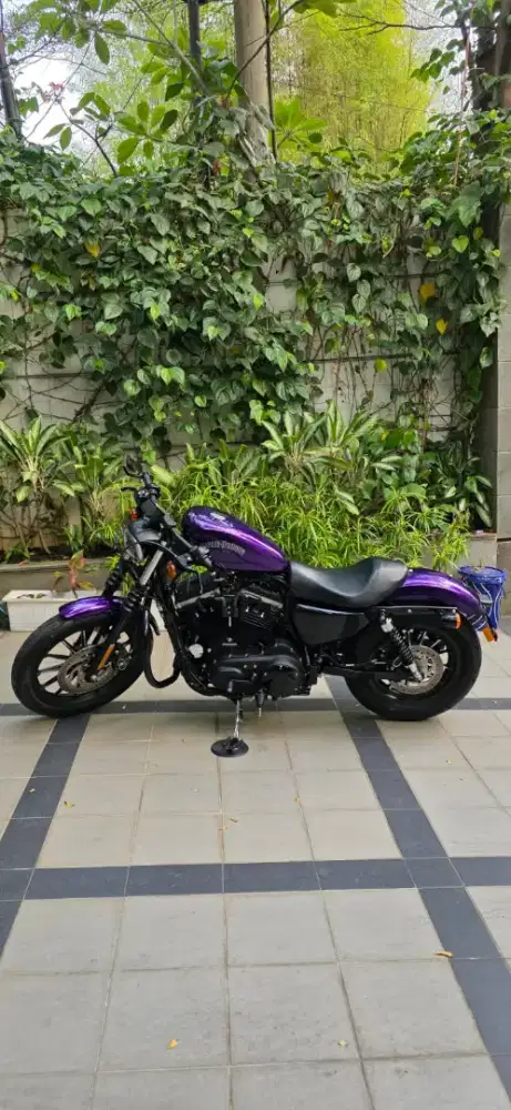 FOR SALE
Harley Davidson RARE 2 UNIT IN INDO
Sporster Iron 883 2014 FP