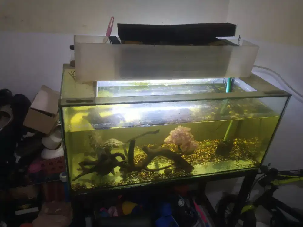 aquarium P=90, L=40, T=40 full set