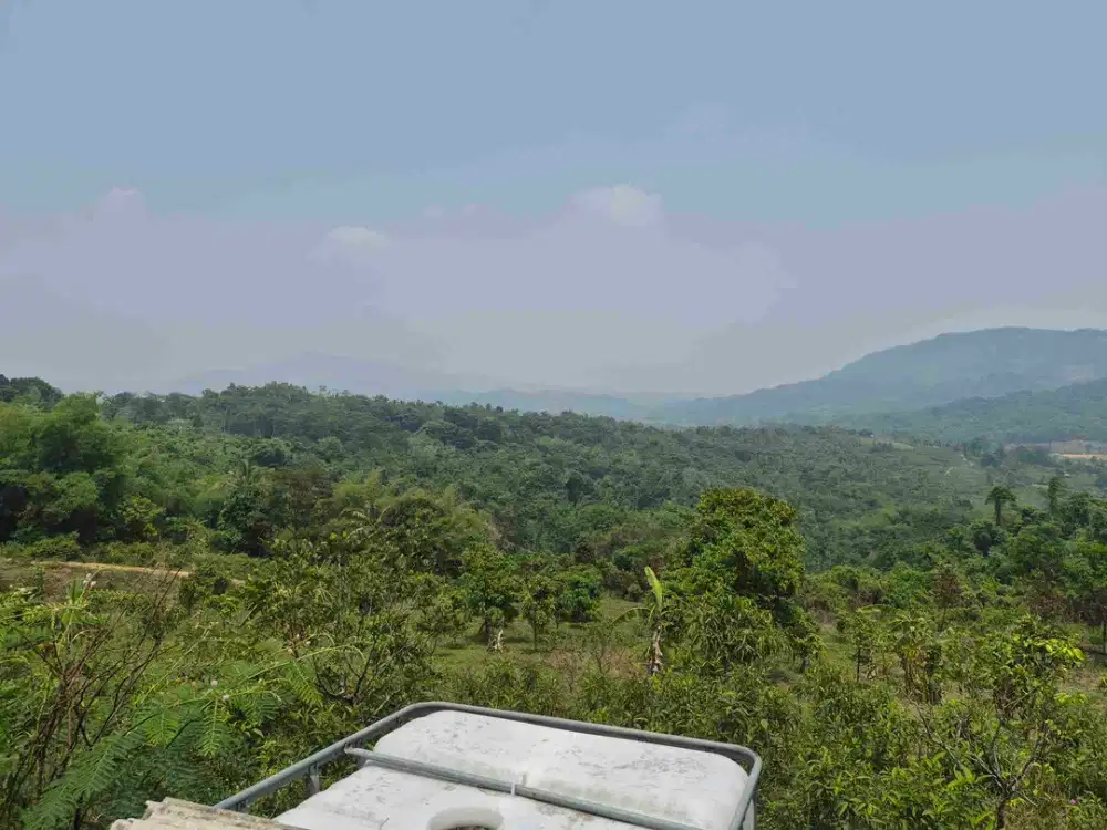 di jual tanah darat