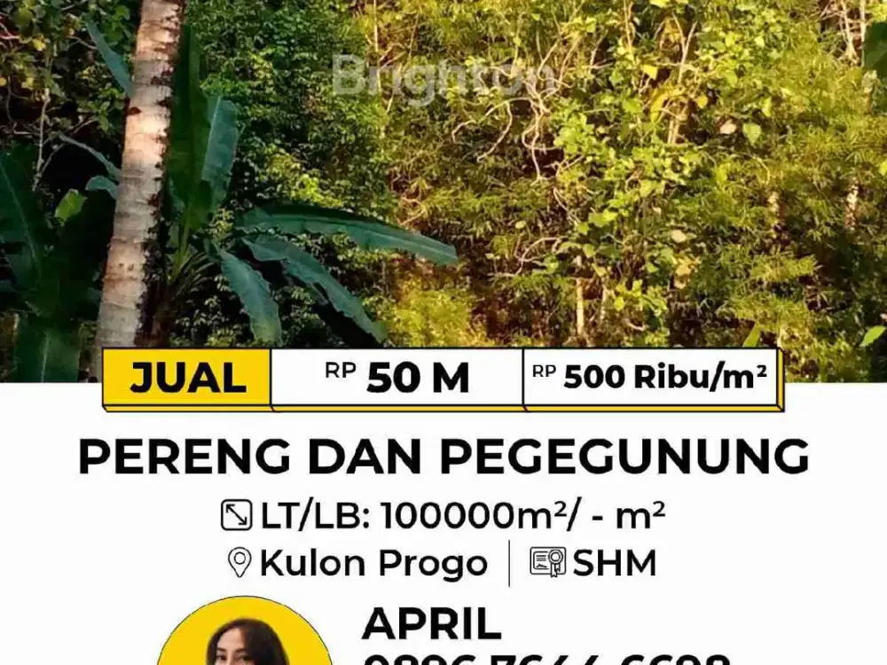 Jual Murah Tanah 10 Hektar di Kulon Progo